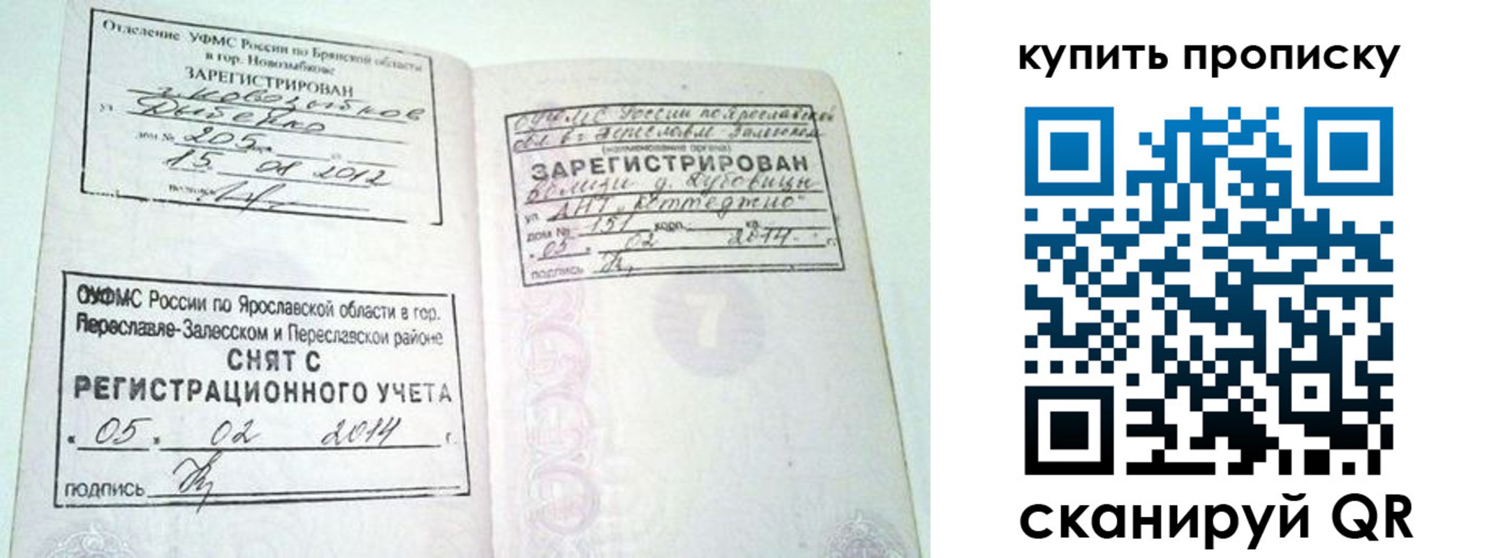 прописка ребенка в Курской области